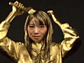 GOLD PAINT009