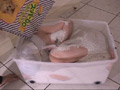 箱の中