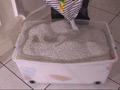 箱の中