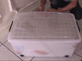 箱の中