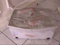 箱の中