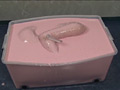 Alginate001