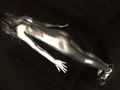 SILVER PAINTING006