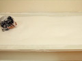 Foam Beads