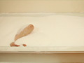 Foam Beads