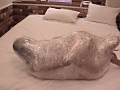 Mummification ver.002