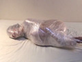 Mummification ver.006