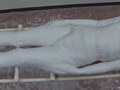 Mummification ver.009
