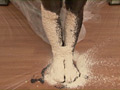 Urethane Foam