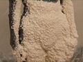Urethane Foam