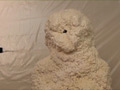 Urethane Foam