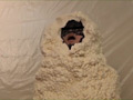 Urethane Foam