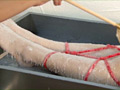 Paraffin2