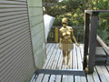 GOLD PAINT014