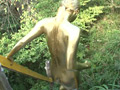 GOLD PAINT014