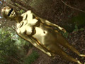 GOLD PAINT014