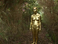 GOLD PAINT014