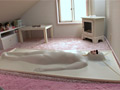 Vacuumbed009