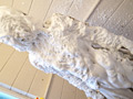 GOLD PAINT015