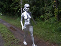 SILVER PAINTING012
