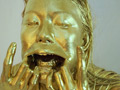 GOLD PAINT017