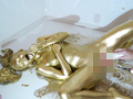 GOLD PAINT017