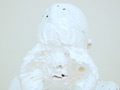 Marshmallow cream 2015