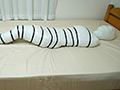 Mummification ver.016