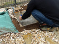 Buried alive -Second part-