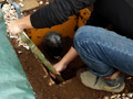 Buried alive -Second part-