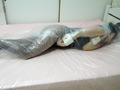 Self Mummification No.03