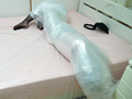 Self Mummification No.03