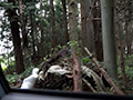 Buried alive -Unpublished scene-