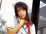 COSMATE9 ひかり