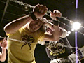 キャット番狂わせッ！ぴんくらばぁFIGHT2008
