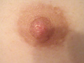 乳首名人2