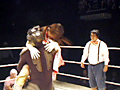 CPEキャットファイト！ 女祭り2008 上巻