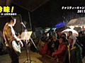 大雨の野外キャットプロレス