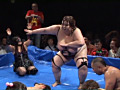THE キャットファイトサミット2015～女闘美伝説～