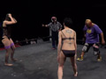CatFight Mystery Tour10