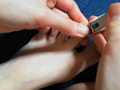 普通の女の子の足の爪切り－スマホ自撮り◎るな