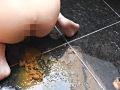 浣腸・脱糞女子大生 マリア