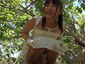 「野性の王国 VOL.3 なつめ愛莉」