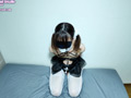 罪深きシスターへの試練 Sayaka’s Sinful Nun Ordeal
