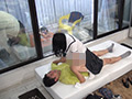 一般男女モニタリングAV 女子○生の娘と新しいお父さん3