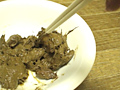 一日一糞 vol.1
