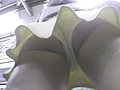 電車パンチラ大全集2