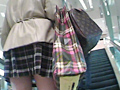 Tokyo Mode Gal パンチラ○撮