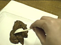 糞一週間