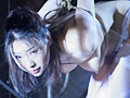 舞姫恋情 若林美保
